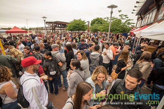 Photo from All Star Craft Beer & Wine Festival - Gallery 6