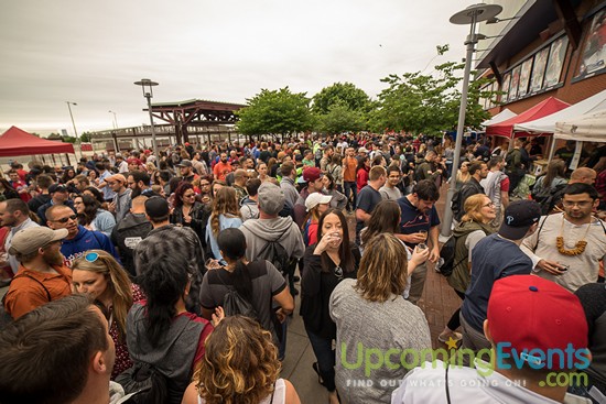 Photo from All Star Craft Beer & Wine Festival - Gallery 6