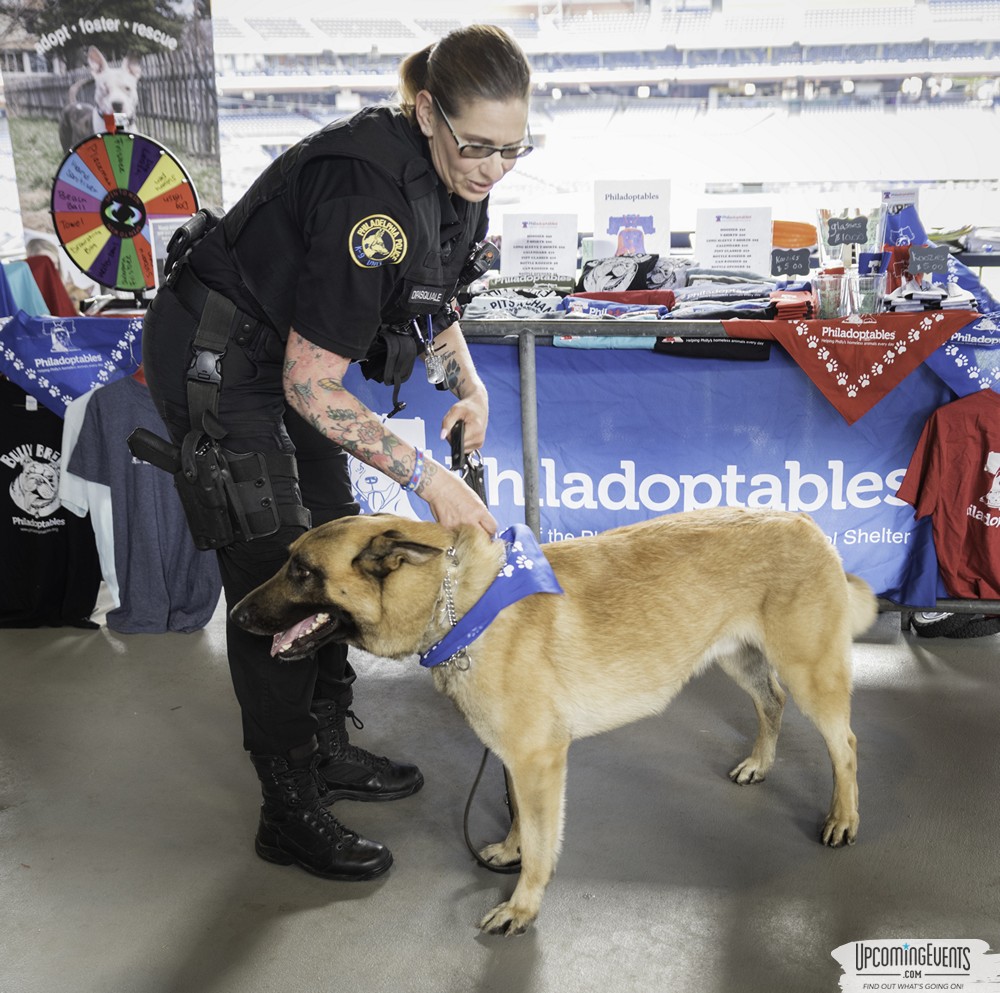 Photo from Philly All Star Festival 2019 - Gallery 1