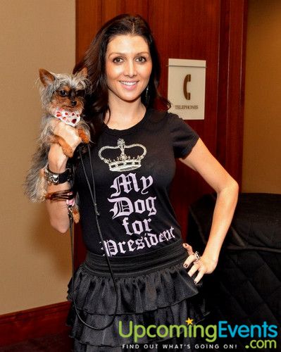 Photo from Bad Dog Ball