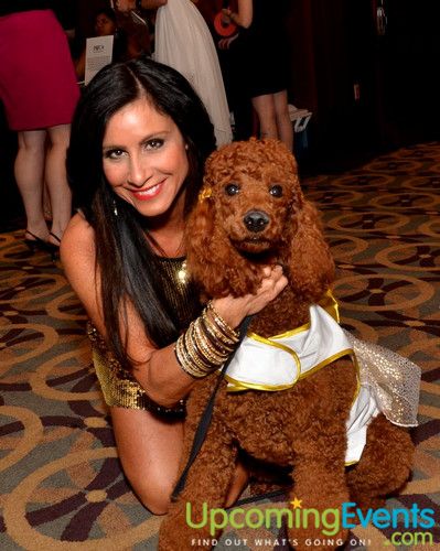 Photo from Bad Dog Ball