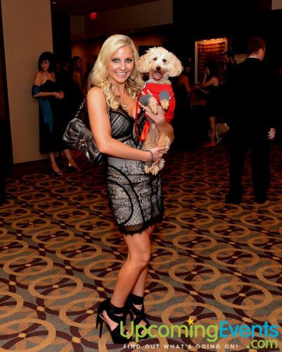 Photo from Bad Dog Ball