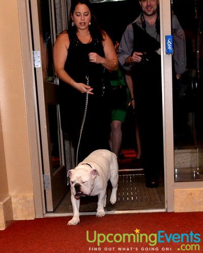 Photo from Bad Dog Ball