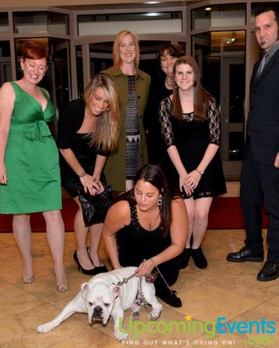 Photo from Bad Dog Ball