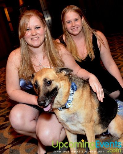 Photo from Bad Dog Ball