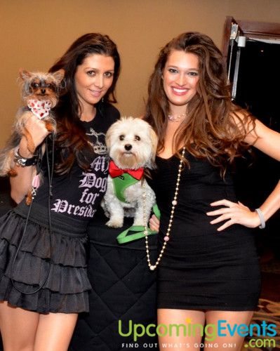 Photo from Bad Dog Ball