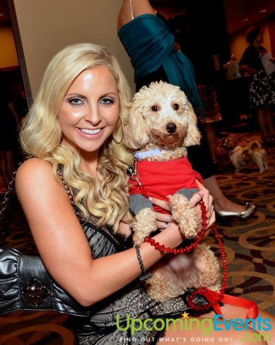 Photo from Bad Dog Ball