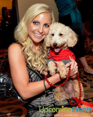 Photo from Bad Dog Ball