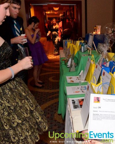 Photo from Bad Dog Ball