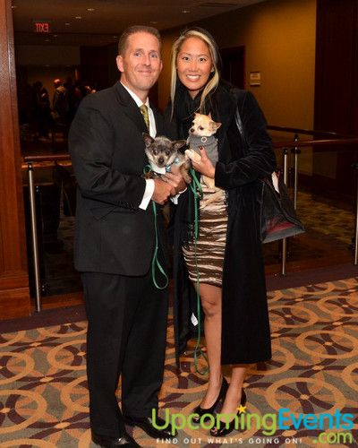Photo from Bad Dog Ball