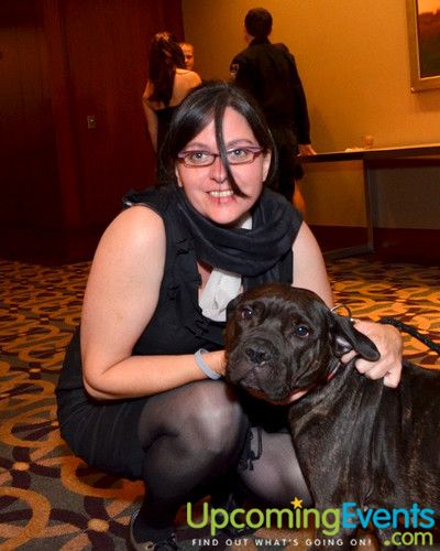 Photo from Bad Dog Ball