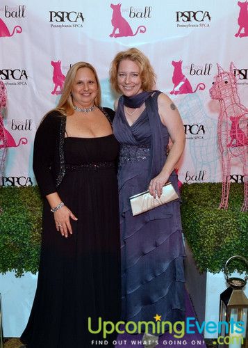 Photo from Bad Dog Ball