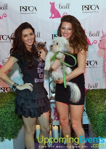 Photo from Bad Dog Ball