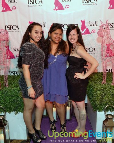 Photo from Bad Dog Ball