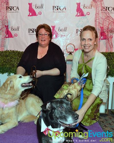 Photo from Bad Dog Ball