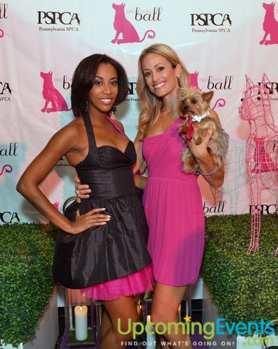 Photo from Bad Dog Ball