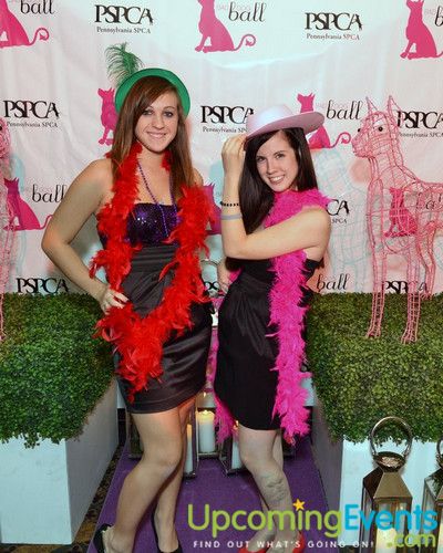 Photo from Bad Dog Ball
