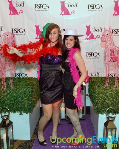Photo from Bad Dog Ball