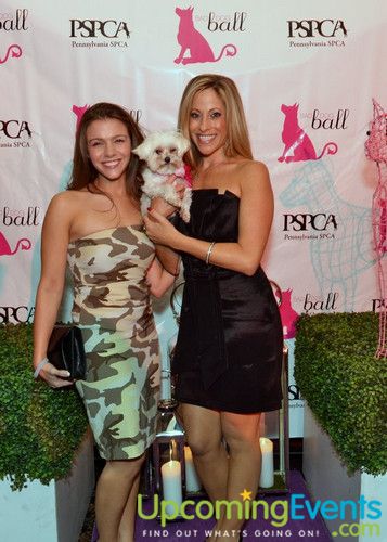Photo from Bad Dog Ball