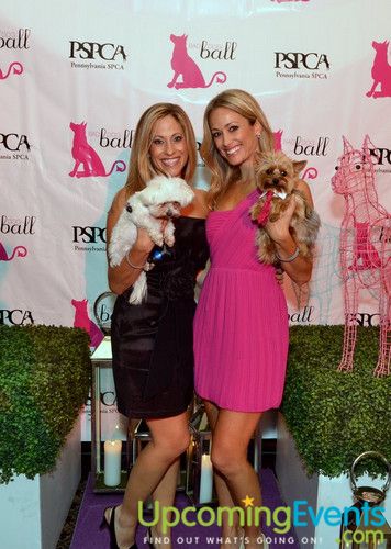 Photo from Bad Dog Ball