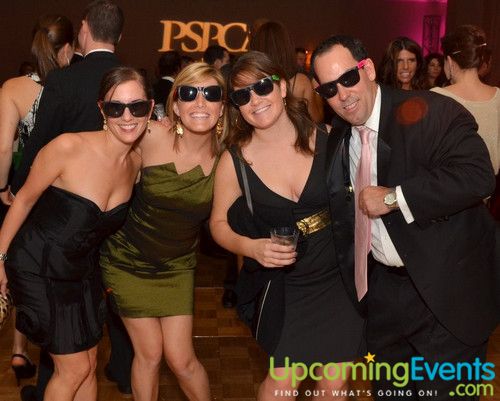 Photo from Bad Dog Ball