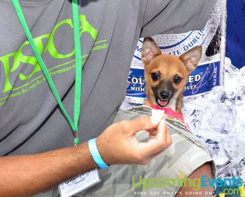 Photo from Beerfest @ The Ballpark (Gallery 1)