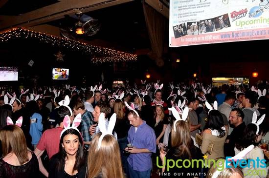 Photo from The 2012 Bunny Hop! (Gallery B)