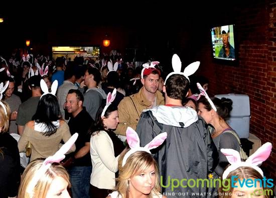 Photo from The 2012 Bunny Hop! (Gallery B)