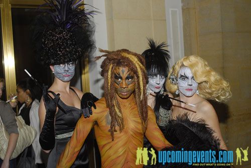 Photo from SophistiCats