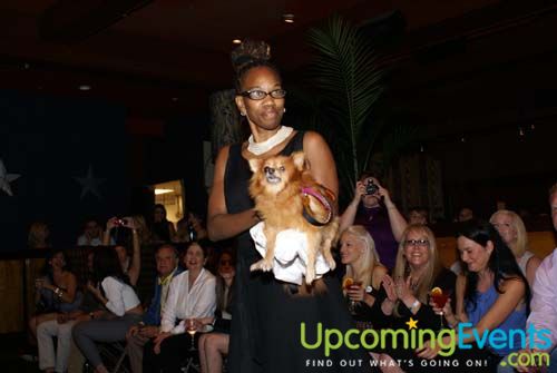 Photo from Fashion in Public (Gallery 1)