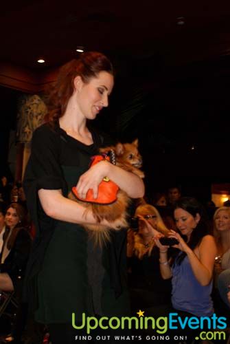 Photo from Fashion in Public (Gallery 1)