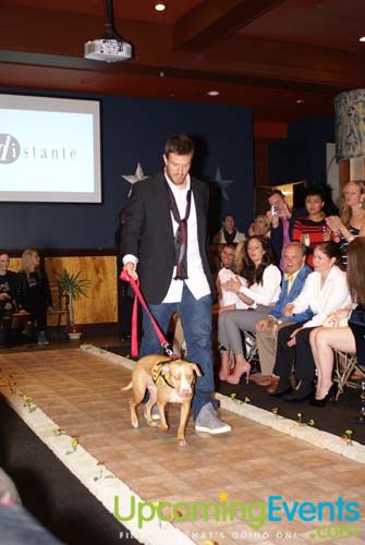 Photo from Fashion in Public (Gallery 1)