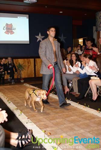 Photo from Fashion in Public (Gallery 1)