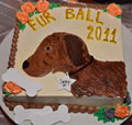 View photos for The Fur Ball