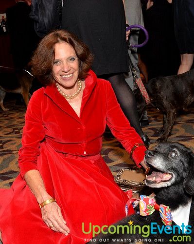Photo from Good Dog Gala