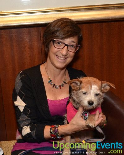 Photo from Good Dog Gala