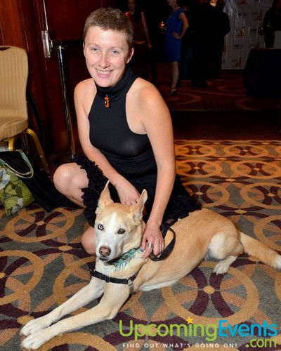 Photo from Good Dog Gala