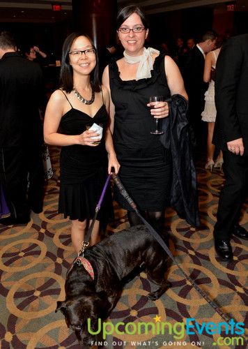 Photo from Good Dog Gala