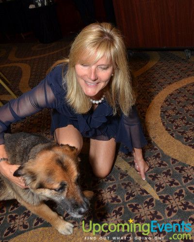 Photo from Good Dog Gala