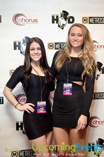 Photo from Hair O' The Dog (Gallery B)
