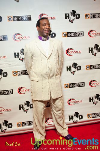 Photo from Hair O' The Dog (Gallery B)