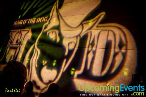 Photo from Hair O' The Dog (Gallery B)