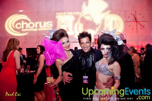Photo from Hair O' The Dog (Gallery A)