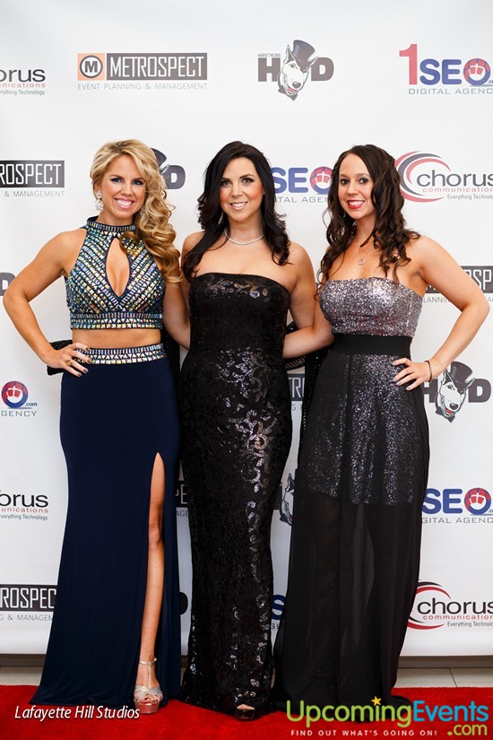 Photo from Hair O' The Dog 2015