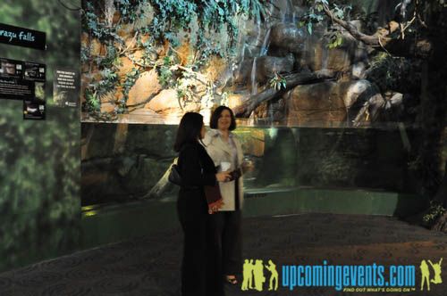 Photo from Hot Chocolate @ The Adventure Aquarium