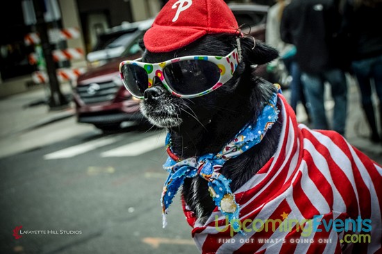 Photo from Midtown Festival 2016