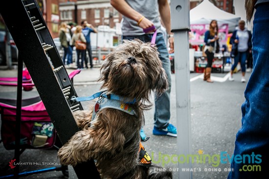 Photo from Midtown Festival 2016
