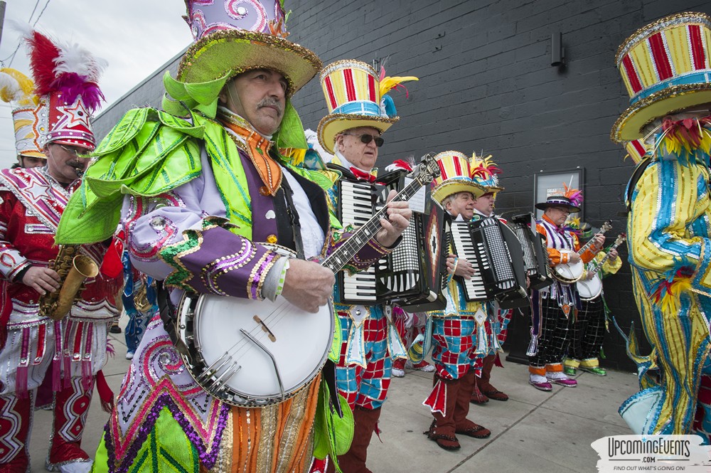 Photo from Mummers Mardi Gras Festival (Candid Gallery 1)