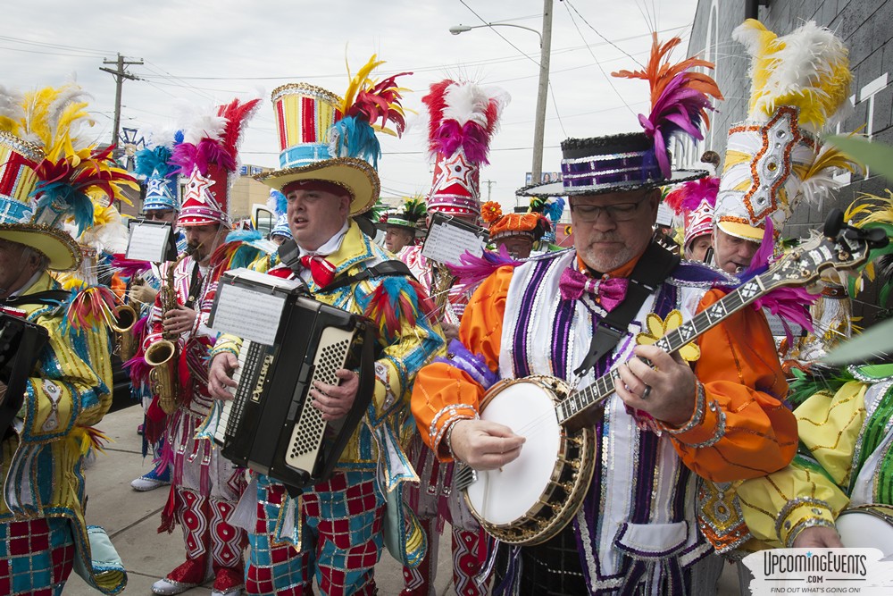 Photo from Mummers Mardi Gras Festival (Candid Gallery 1)