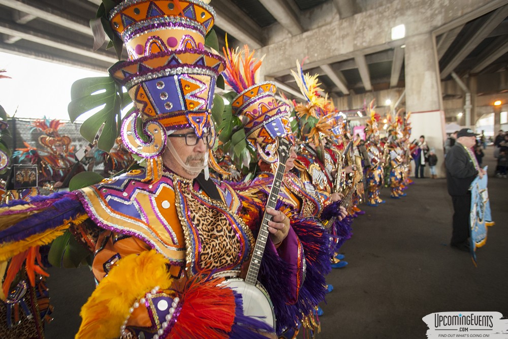 Photo from Mummers Mardi Gras Festival (Candid Gallery 1)